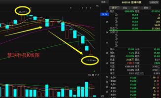 慧球科技600556大跌停牌真實(shí)原因及復(fù)盤后走勢(shì)分析