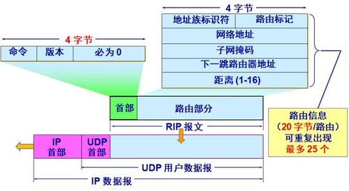 計算機網(wǎng)絡 謝希仁版第四章節(jié)《網(wǎng)絡層》重點解析與安裝維護要點